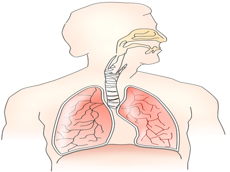 5 Signs of Lung Cancer you shouldn't Miss! : BetterButter Blog: Indian ...