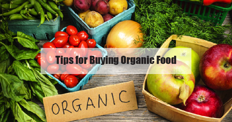 Tips for Buying Organic Food : BetterButter Blog: Indian Food Recipes ...